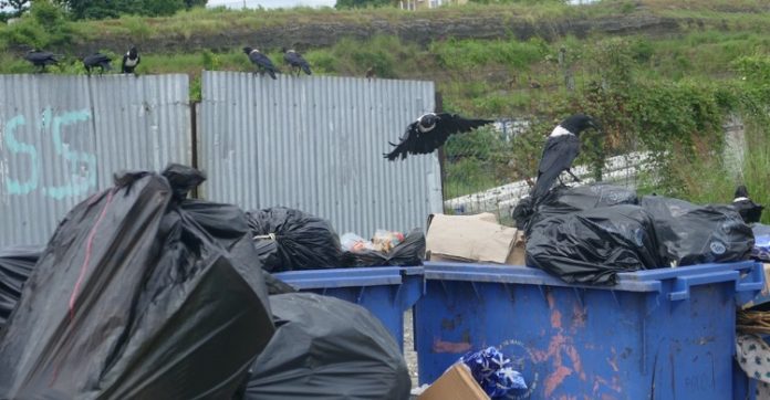 SIDEVAM, déchets, Mayotte, Chambre régionale des Comptes